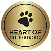 Heart of the Underdogs